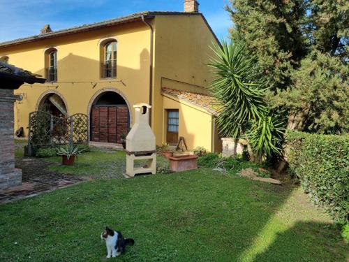 eine schwarze und weiße Katze, die vor einem Haus sitzt in der Unterkunft Tenuta Il Casale di San Miniato in San Miniato