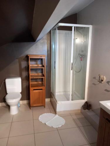 Lierneux的住宿－Le fournil，带淋浴和卫生间的浴室