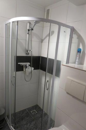 a shower with a glass door in a bathroom at Wohnen in Schellhorn in der Nähe des Lanker Sees in Schellhorn
