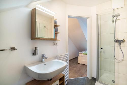a bathroom with a sink and a shower at Ferienhaus Landliebe in Ötisheim