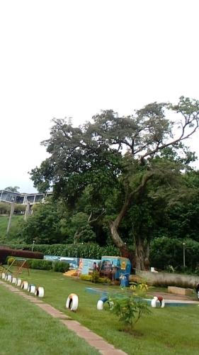 a park with a large tree and a playground at GOOLO guesthouse in Jinja