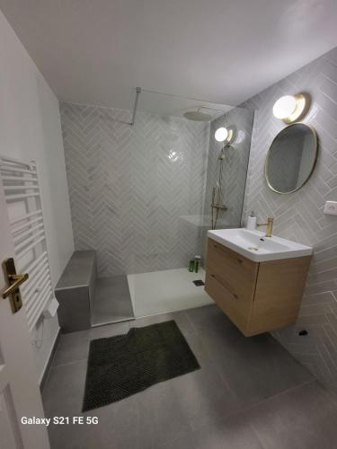 une salle de bain avec un lavabo et un miroir dans l'établissement Cosy & Charm Ajaccio centre, à Ajaccio