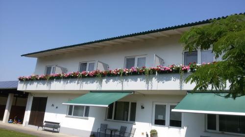 a white building with flowers on the side of it at Pension Joseph Haydn in Podersdorf am See
