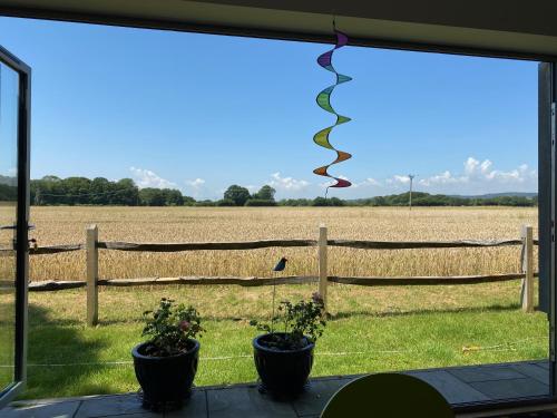 a window with a view of a field and a kite at Flint House, Rew Lane, Chichester in Lavant