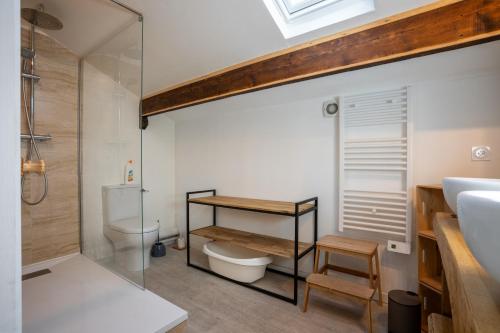 een badkamer met een douche, een toilet en een wastafel bij Grand Chalet St-Lary centre 13 à 15 pers in Saint-Lary-Soulan