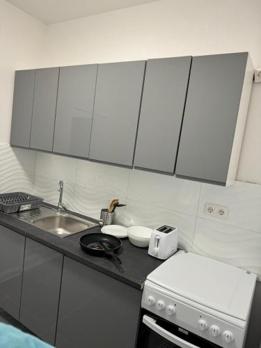 uma cozinha com um lavatório e um balcão com um fogão em Private Zimmervermietung Felix em Trebbin