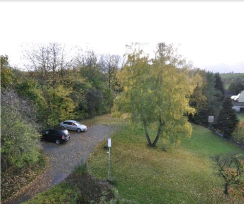 dos autos estacionados en una carretera al lado de un árbol en Diemeltal Lodge Appartements, en Marsberg