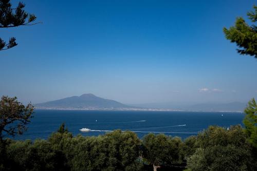 a view of the ocean with a ship in the water at Capo Santa Fortunata in Sorrento