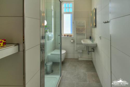 a bathroom with a toilet and a sink at Auszeit im Harz Haus 1 Wohnung Feuerstein in Schierke