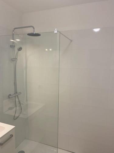 une douche avec une porte vitrée dans une salle de bain dans l'établissement MAGNIFIQUE APPARTEMENT LES PIEDS DANS L'EAU PROPRIANO, à Propriano