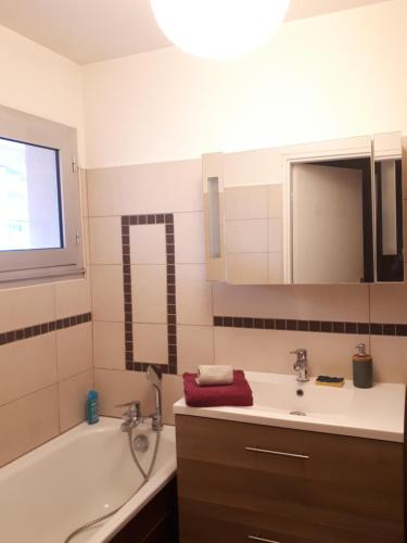 une salle de bain avec une baignoire et un lavabo et une baignoire dans l'établissement Appartement 3 chambres 5 couchages, à Versailles