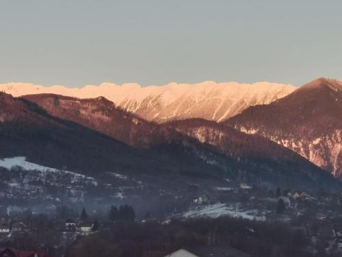 a view of a mountain range with mountains at Cabana Ciresarii in Sohodol