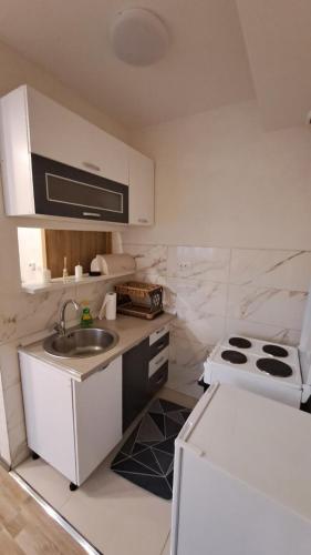 eine weiße Küche mit einer Spüle und einem Herd in der Unterkunft Apartman Zirojević in Lukavica