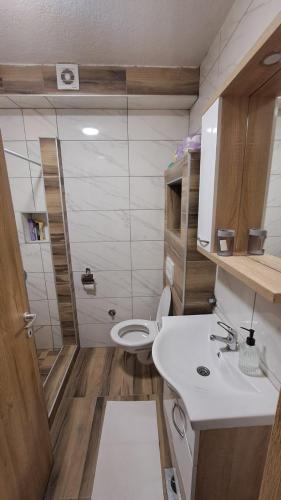 ein kleines Bad mit WC und Waschbecken in der Unterkunft Apartman Zirojević in Lukavica