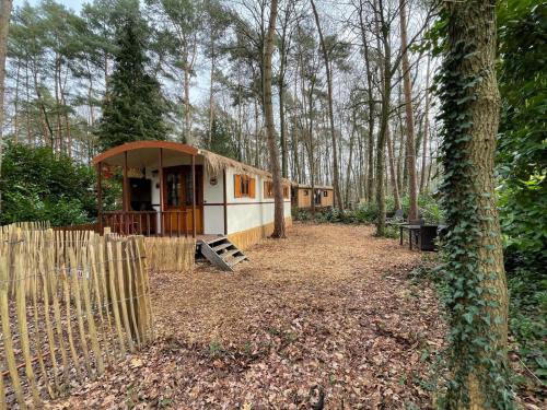 uma pequena casa na floresta com uma cerca em Pipowagen de Zwaan in Hoge Kempen nabij Maastricht em Lanaken