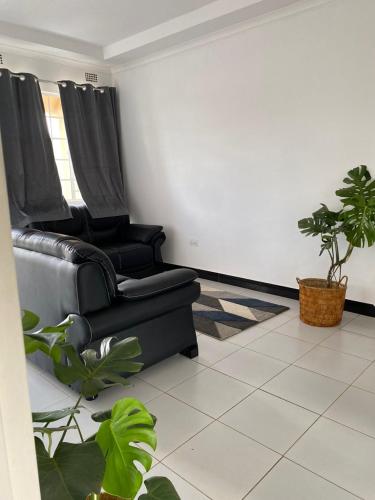 ein Wohnzimmer mit zwei schwarzen Sofas und Pflanzen in der Unterkunft Queen City Homes in Lilongwe