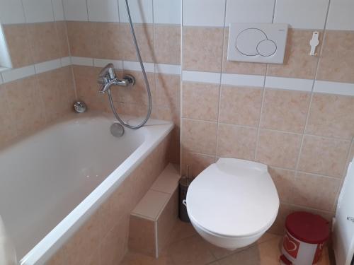 a bathroom with a tub and a toilet and a shower at Hüttenzauber in Taxenbach