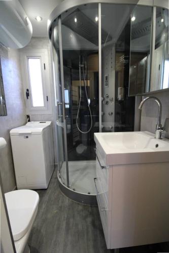 une salle de bain avec une douche, un lavabo et des toilettes dans l'établissement EDENCAU Appartement pour 4 personnes climatisé proche de la mer avec piscine commune au Pradet, au Pradet