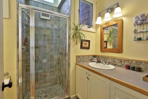a bathroom with a shower and a sink at MapleCastle == HotTub, RiverSide, IndoorHummock, FirePlace, BackYard 