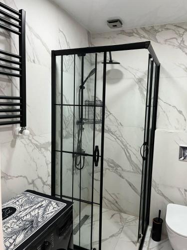 a glass shower in a bathroom with a toilet at SEA in Batumi