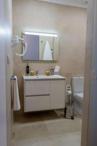 a bathroom with a sink and a toilet and a mirror at Quinta Vale Lameiros in Abraã