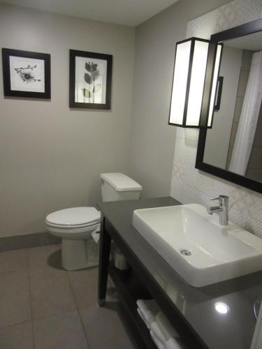 a bathroom with a sink and a toilet and a mirror at Country Inn & Suites Downtown Convention Center by Radisson, Gatlinburg, TN in Gatlinburg