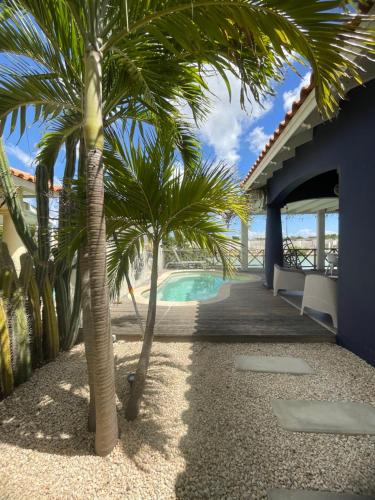 ośrodek z palmami i basenem w obiekcie Villa Bahia Blue w mieście Kralendijk