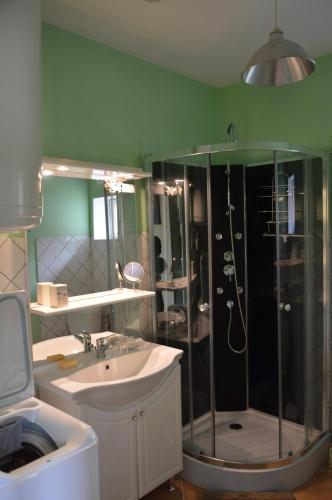 une salle de bain avec une douche, un lavabo et un miroir dans l'établissement Le Hêtre Pourpre, à Carcagny