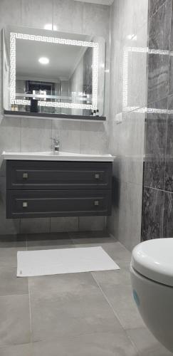 a bathroom with a sink and a mirror and a toilet at فلل التن تاج ALTINTAC villalari in Sapanca
