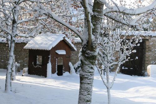 a smallshed in the snow next to some trees at La Closerie des Sacres in Lavannes