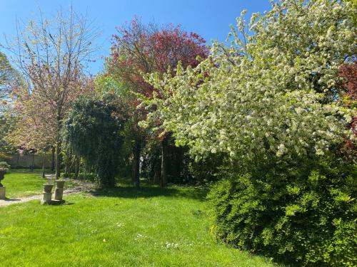 a bush with white flowers in a yard with trees at La Closerie des Sacres in Lavannes