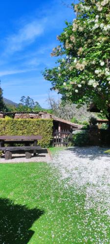 a park bench sitting in the grass next to a tree at Paraíso Ortegal in Feás