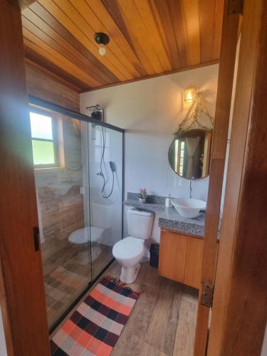 a bathroom with a toilet and a sink and a shower at Chalé Faisão Recanto Buscapé SFX in São Francisco Xavier