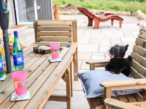 a small black dog sitting on a pillow on a bench at Pine Marten in Dornoch