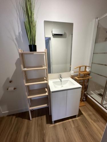 un baño con lavabo y espejo en La Dune, proche rue piétonne et plage, en Saint-Jean-de-Monts