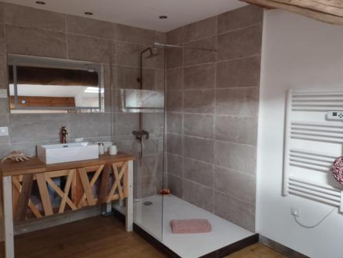 a bathroom with a sink and a shower at CHEZ COCO in Roquefort-de-Sault