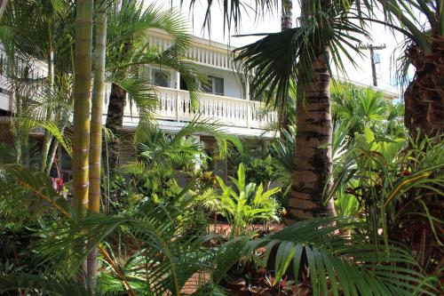 une maison avec des palmiers devant elle dans l'établissement Kauai Palms Hotel, à Lihue