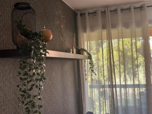 une chambre dotée d'une fenêtre avec une plante sur une étagère dans l'établissement Appartement Résidence Santa Barbara avec Piscine et à 750m de la Plage, à Cavalaire-sur-Mer
