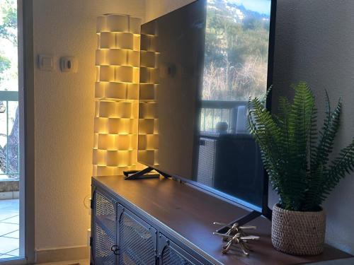 a mirror on top of a dresser with a plant at Appartement Résidence Santa Barbara avec Piscine et à 750m de la Plage in Cavalaire-sur-Mer
