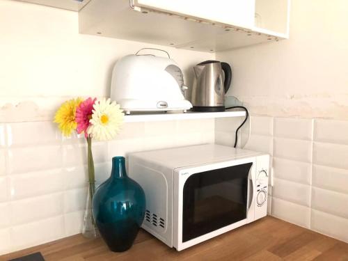 un vase assis à côté d'un four micro-ondes avec un vase dans l'établissement 2 PIECES COZY IN THE HEART OF PARIS, à Paris