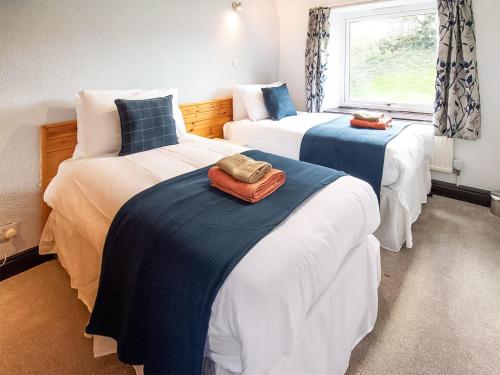 a bedroom with two beds with blue and white at Bramble Cottage- Uk45891 in Farlam