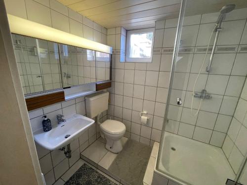 e bagno con servizi igienici, lavandino e doccia. di Apartment in Natur und Flughafen Nähe a Norimberga