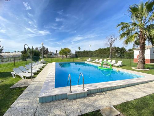 a swimming pool with chairs and a palm tree at VILLA LÚA in Cartaya