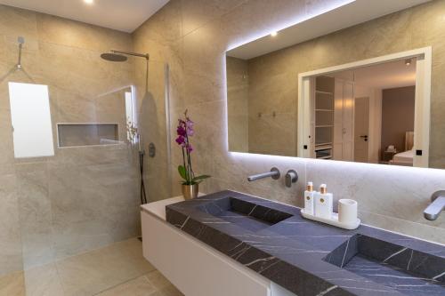 La salle de bains est pourvue d'un lavabo et d'une douche. dans l'établissement Splendide villa proche de Colmar, à Bischwihr