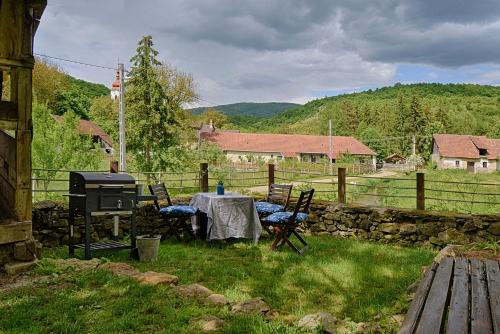 una mesa y sillas en un patio trasero con parrilla en Zuzmó Guesthouse, Jósvafő, Aggtelek National Park - Stylish 150 year old farmhouse for 10 guests, en Jósvafő