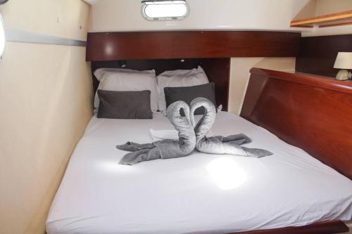 two stuffed animals are laying on a bed at Cabine d'un catamaran privatisé in Le Marin