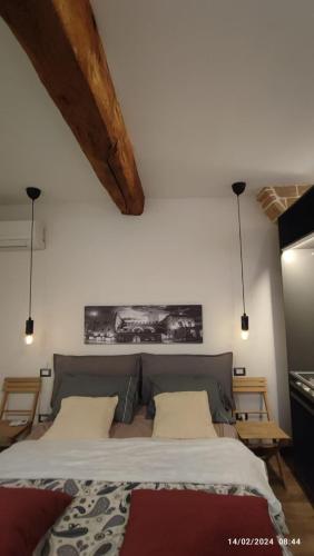 1 dormitorio con 1 cama grande y 2 almohadas en Centro storico di Bologna via Petroni, en Bolonia