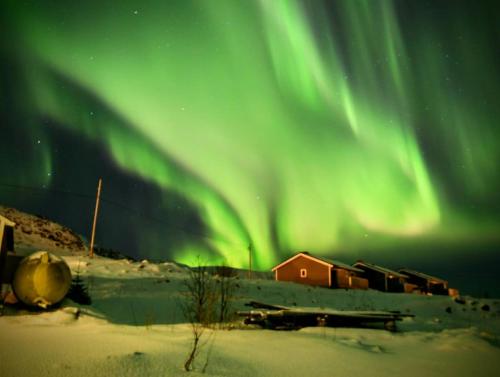 una imagen de la aurora bailando en el cielo en Lydersen Rorbuer, en Fredvang