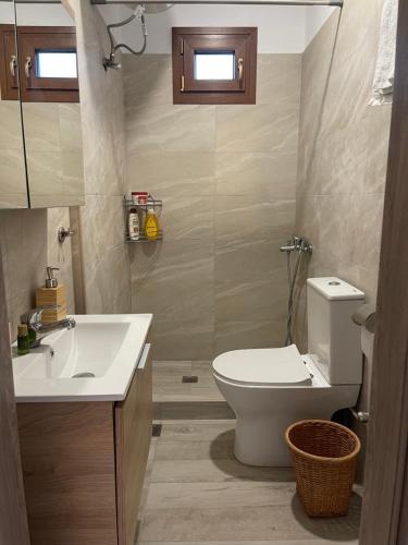 a bathroom with a toilet and a sink at Nektarios apartment in Mikri Vigla