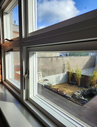 a window with a view of a garden outside at Maynooth Serviced Studios in Maynooth